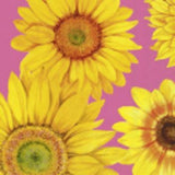 Marimekko Napkin Old