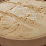Dough Slashing Lame