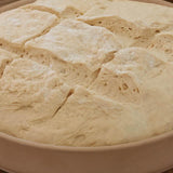 Dough Slashing Lame
