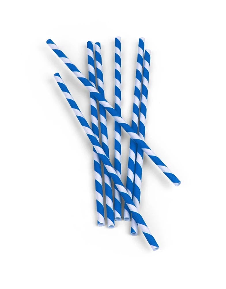 Paper Straws Box of 144