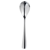 Robert Welch Malvern English Tea Spoon