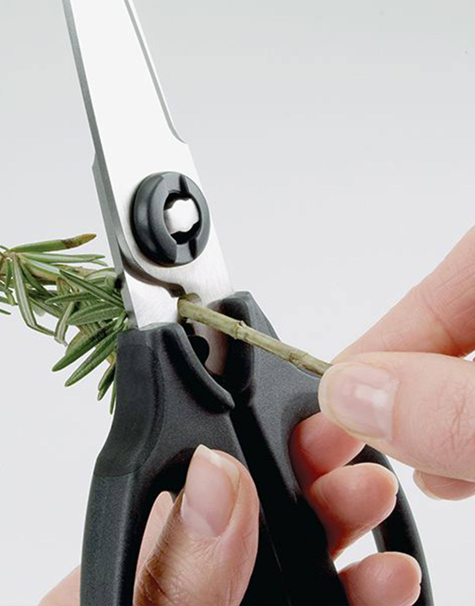 OXO Good Grips Kitchen and Herb Scissors