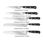 Sabatier Professional 5 Piece Slotted Oak Knife Block Set
