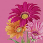 Marimekko Napkin Old