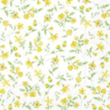 Marimekko Napkin Old