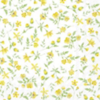 Marimekko Napkin Old