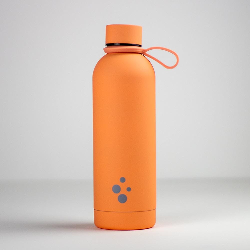 Season Double Walled Stainless Steel Water Bottle 500ml