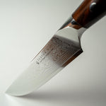 Season S4 Steak Knife Set