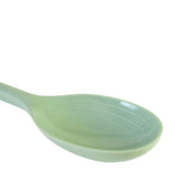 Season Silicone Cook's Spoon Fennel Seed
