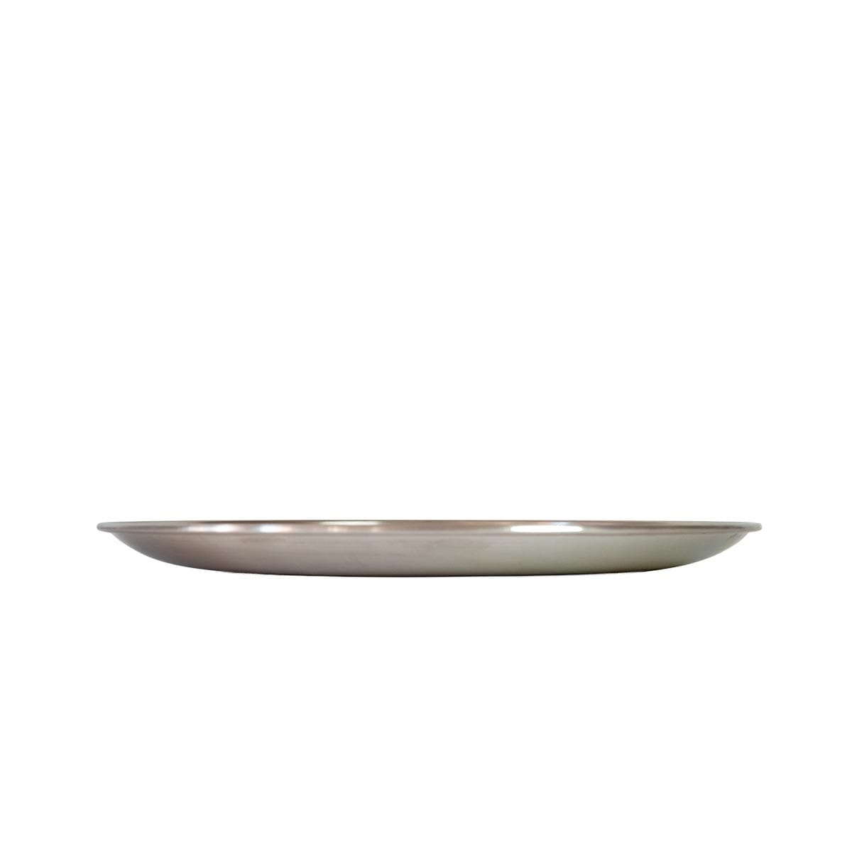Season Stainless Steel Picnic Plate