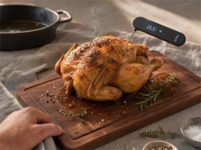 Season iProbe Thermometer