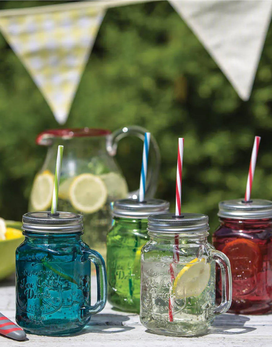 Coloured Drinks Jar With Straw 450ml
