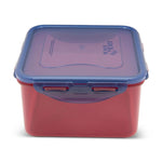 Lock & Lock Square Recycled