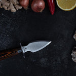 Season Oyster Knife