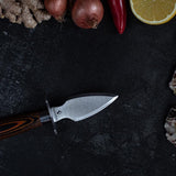 Season Oyster Knife