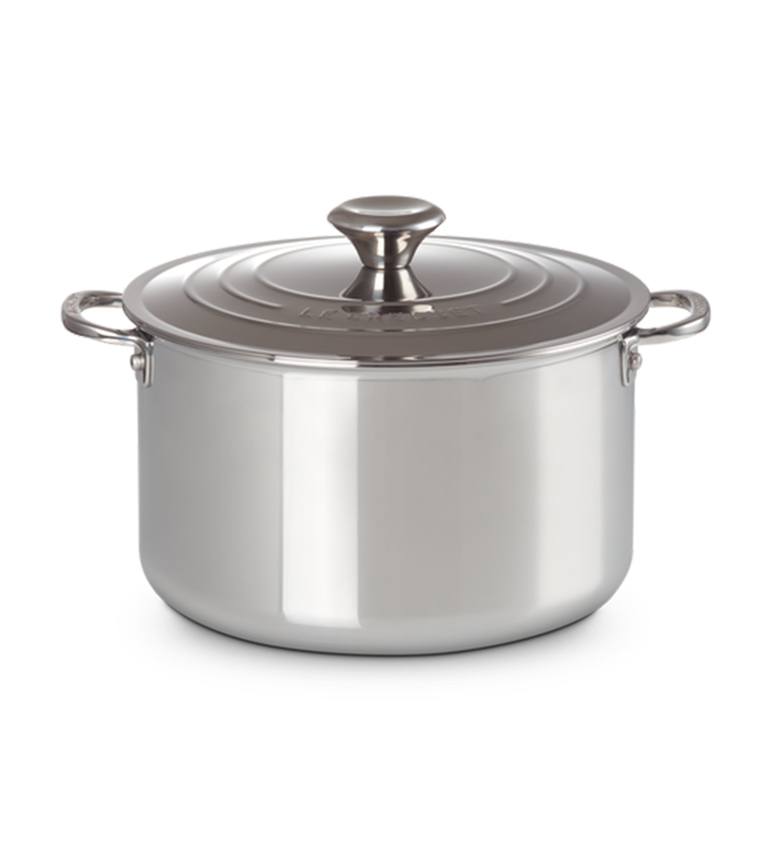Le Creuset Signature Stainless Steel Stockpot with Lid
