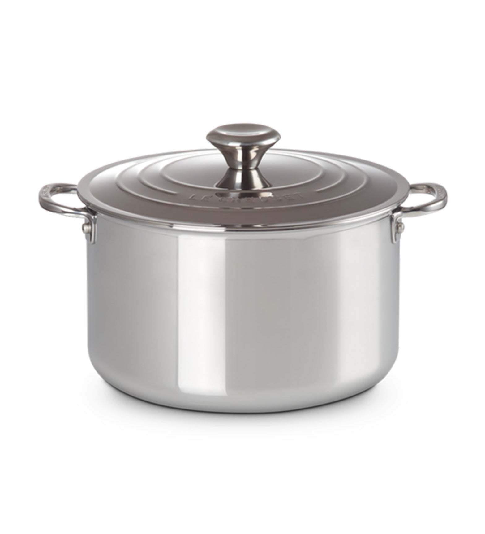 Le Creuset Signature Stainless Steel Stockpot with Lid