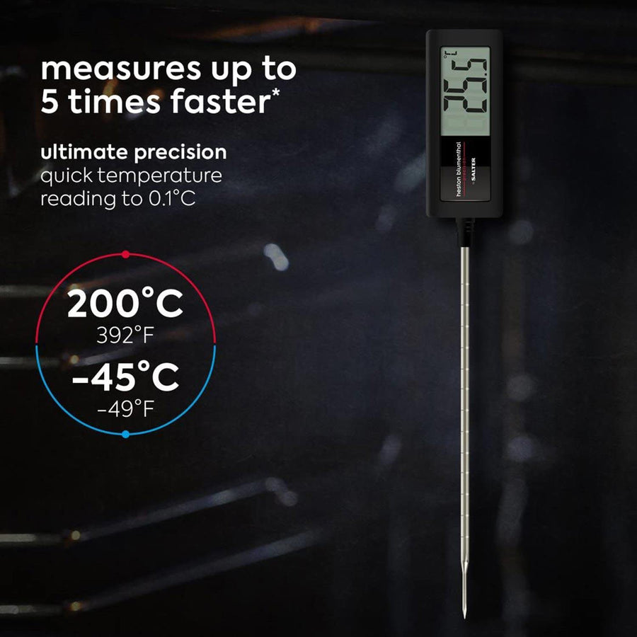 Salter Indoor/Outdoor Meat Thermometer